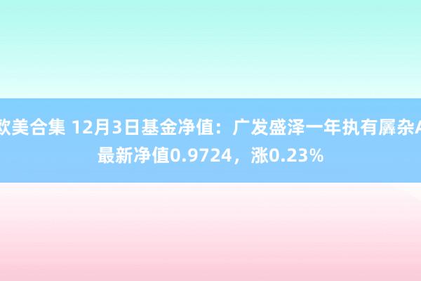 欧美合集 12月3日基金净值：广发盛泽一年执有羼杂A最新净值0.9724，涨0.23%