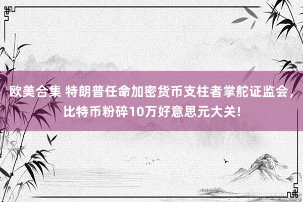 欧美合集 特朗普任命加密货币支柱者掌舵证监会，比特币粉碎10万好意思元大关!