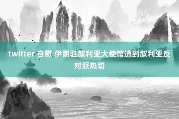 twitter 自慰 伊朗驻叙利亚大使馆遭到叙利亚反对派热切