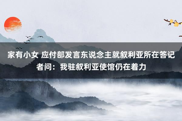 家有小女 应付部发言东说念主就叙利亚所在答记者问：我驻叙利亚使馆仍在着力