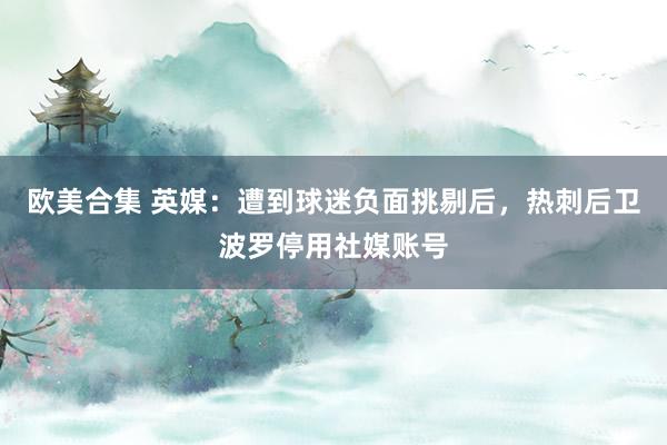 欧美合集 英媒：遭到球迷负面挑剔后，热刺后卫波罗停用社媒账号