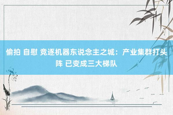 偷拍 自慰 竞逐机器东说念主之城：产业集群打头阵 已变成三大梯队