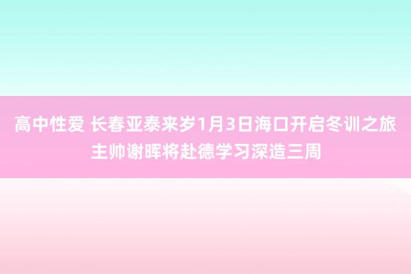 高中性爱 长春亚泰来岁1月3日海口开启冬训之旅主帅谢晖将赴德学习深造三周