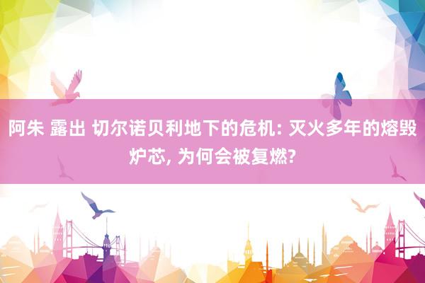 阿朱 露出 切尔诺贝利地下的危机: 灭火多年的熔毁炉芯， 为何会被复燃?