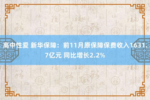 高中性爱 新华保障：前11月原保障保费收入1631.7亿元 同比增长2.2%