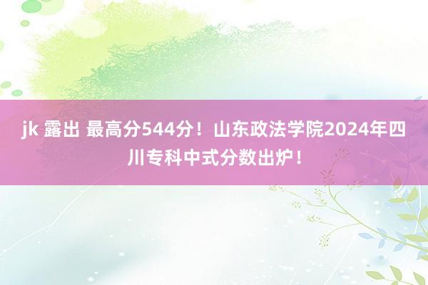 jk 露出 最高分544分！山东政法学院2024年四川专科中式分数出炉！