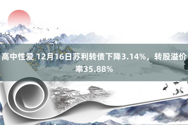 高中性爱 12月16日苏利转债下降3.14%，转股溢价率35.88%