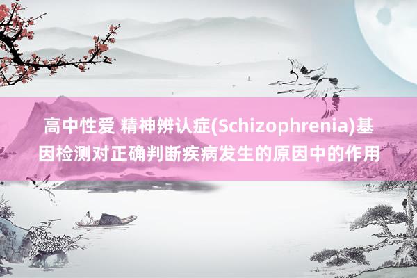 高中性爱 精神辨认症(Schizophrenia)基因检测对正确判断疾病发生的原因中的作用