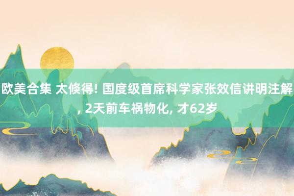 欧美合集 太倏得! 国度级首席科学家张效信讲明注解， 2天前车祸物化， 才62岁