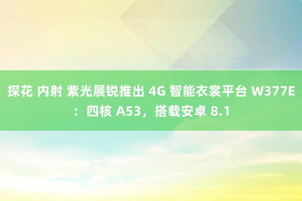 探花 内射 紫光展锐推出 4G 智能衣裳平台 W377E：四核 A53，搭载安卓 8.1