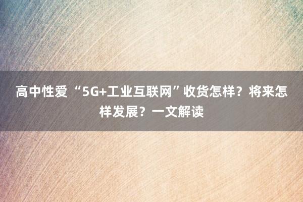 高中性爱 “5G+工业互联网”收货怎样？将来怎样发展？一文解读