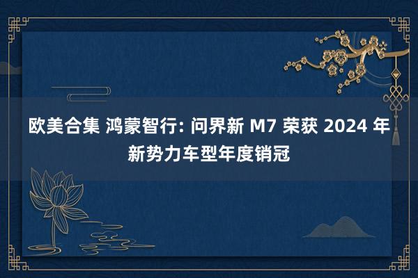 欧美合集 鸿蒙智行: 问界新 M7 荣获 2024 年新势力车型年度销冠