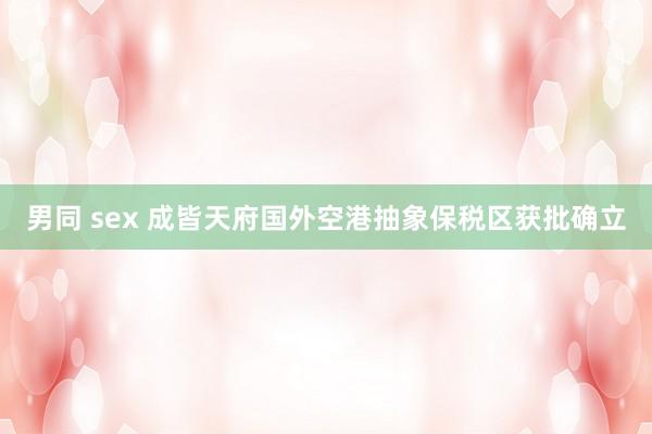 男同 sex 成皆天府国外空港抽象保税区获批确立