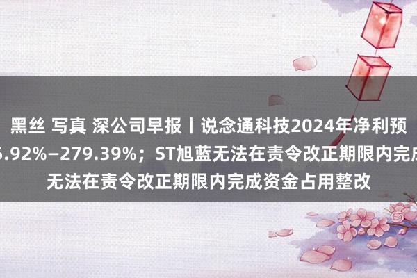 黑丝 写真 深公司早报丨说念通科技2024年净利预测同比增长245.92%—279.39%；ST旭蓝无法在责令改正期限内完成资金占用整改