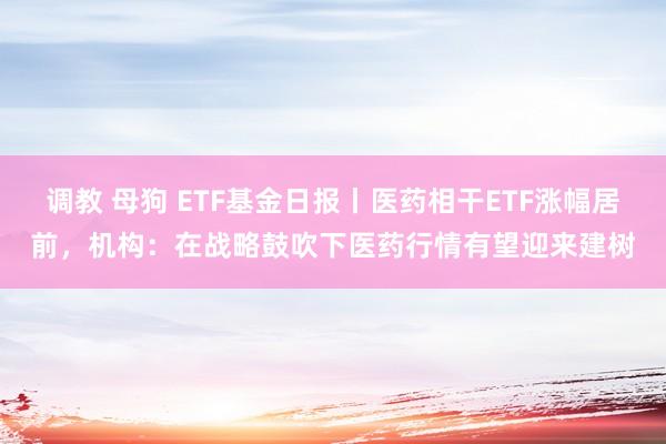 调教 母狗 ETF基金日报丨医药相干ETF涨幅居前，机构：在战略鼓吹下医药行情有望迎来建树