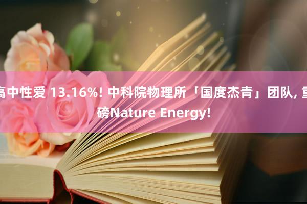 高中性爱 13.16%! 中科院物理所「国度杰青」团队， 重磅Nature Energy!