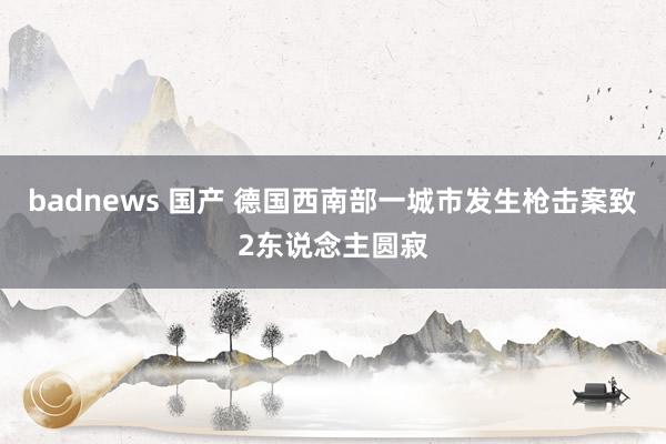 badnews 国产 德国西南部一城市发生枪击案致2东说念主圆寂