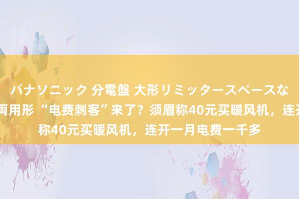 パナソニック 分電盤 大形リミッタースペースなし 露出・半埋込両用形 “电费刺客”来了？须眉称40元买暖风机，连开一月电费一千多