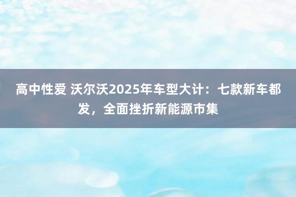 高中性爱 沃尔沃2025年车型大计：七款新车都发，全面挫折新能源市集