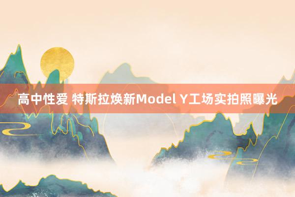 高中性爱 特斯拉焕新Model Y工场实拍照曝光