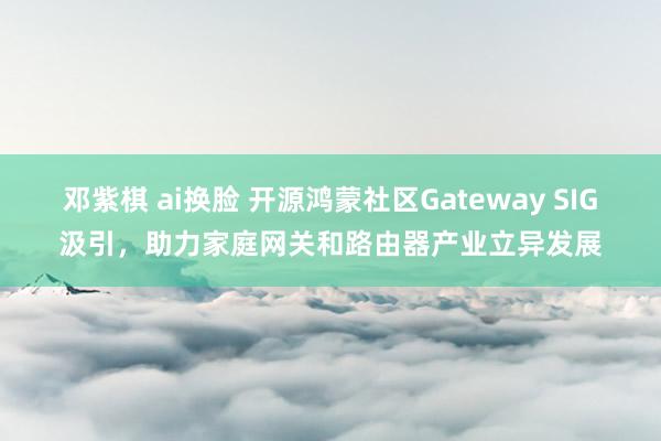 邓紫棋 ai换脸 开源鸿蒙社区Gateway SIG汲引，助力家庭网关和路由器产业立异发展