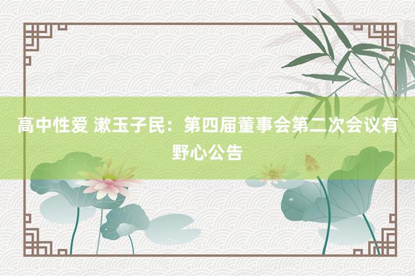 高中性爱 漱玉子民：第四届董事会第二次会议有野心公告