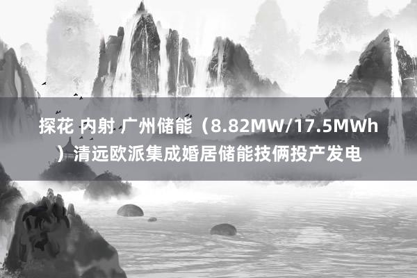 探花 内射 广州储能（8.82MW/17.5MWh）清远欧派集成婚居储能技俩投产发电